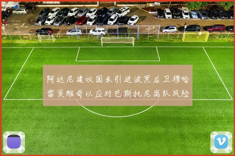 阿达尼建议国米引进波黑后卫穆哈雷莫维奇以应对巴斯托尼离队风险