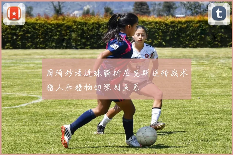 周琦妙语连珠解析尼克斯逆转战术猎人和猎物的深刻关系
