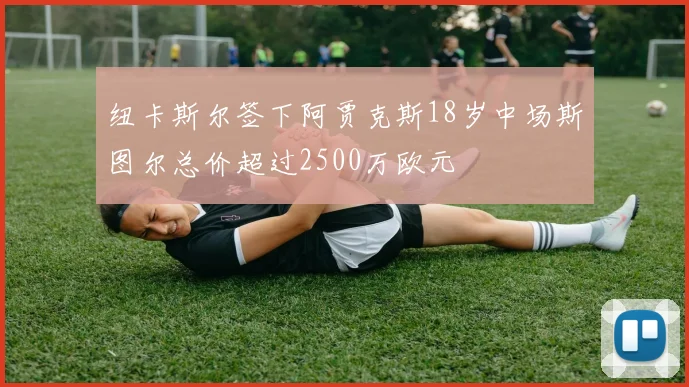 纽卡斯尔签下阿贾克斯18岁中场斯图尔总价超过2500万欧元