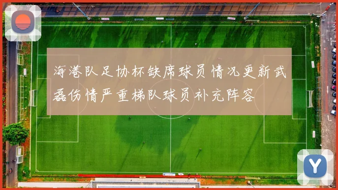海港队足协杯缺席球员情况更新武磊伤情严重梯队球员补充阵容